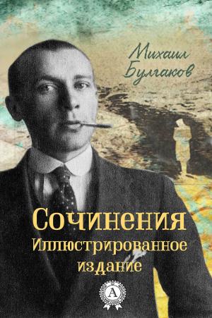 Cover of the book Сочинения. Иллюстрированное издание by Борис Акунин