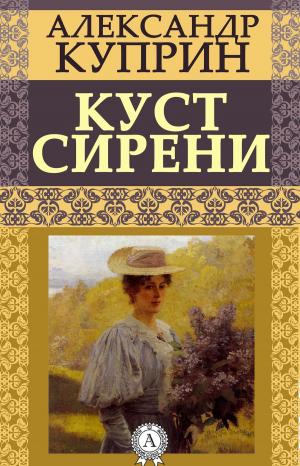 Cover of the book Куст сирени by Борис Поломошнов