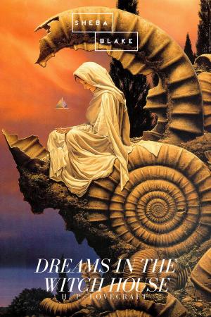 Cover of the book Dreams in the Witch House by Mary Johnston