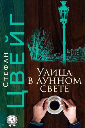 Book cover of Улица в лунном свете