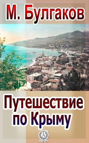 Book cover of Путешествие по Крыму