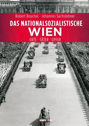 Cover of the book Das nationalsozialistische Wien by Manfred Schauer