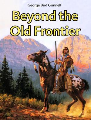 Book cover of Beyond the Old Frontier