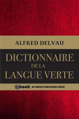 Cover of the book Dictionnaire de la langue verte by Gustave Flaubert