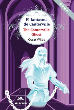 Cover of the book El fantasma de Canterville by Julio Verne