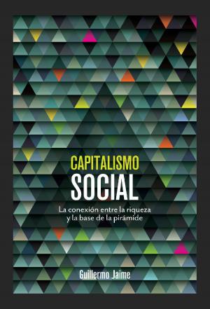 Cover of the book Capitalismo social by Consuelo Sirvent Gutiérrez