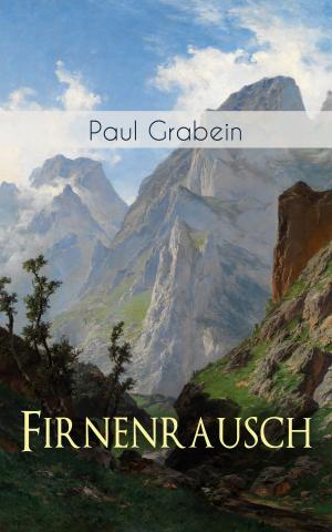 Cover of the book Firnenrausch by Émile Zola