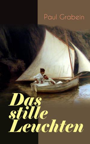 Book cover of Das stille Leuchten
