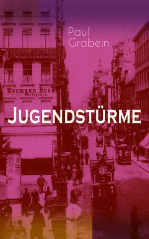 Cover of the book Jugendstürme by John Henry Mackay