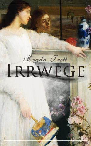 Cover of the book Irrwege by Gabriele D'Annunzio