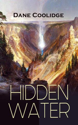 Cover of the book HIDDEN WATER by John Henry Mackay