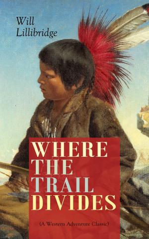 Book cover of WHERE THE TRAIL DIVIDES (A Western Adventure Classic)