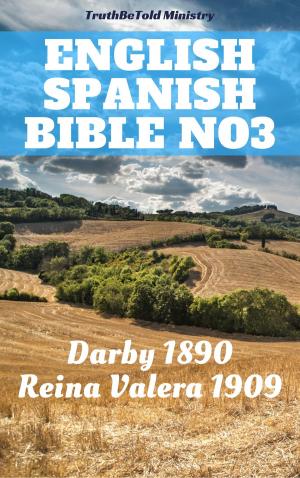 Book cover of English Spanish Bible No3