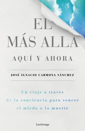 Cover of the book El más allá, aquí y ahora by Rosario Raro