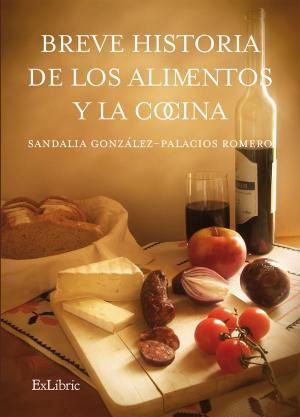 Cover of the book Breve historia de los alimentos y la cocina by Antonio Jesús Jiménez Sánchez