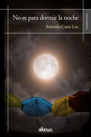 Cover of the book No es para dormir la noche by Piluca Ruiz