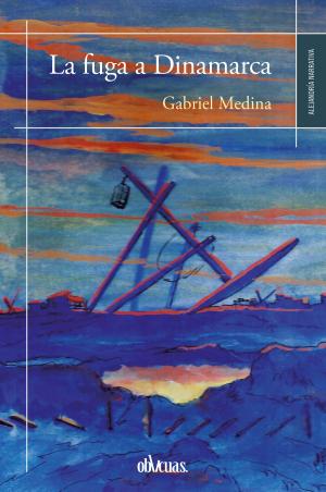 Cover of the book La fuga a Dinamarca by Estefanía Chereguini