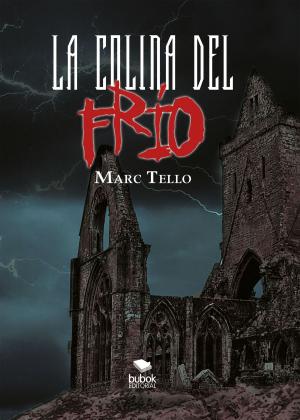 Cover of the book La colina del frío by Mario Carrasco Contero