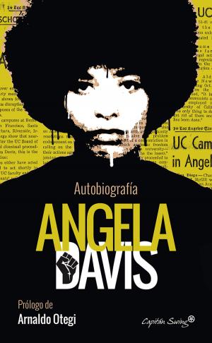 Cover of the book Angela Davis by Jonathan Tasini, Bernie Sanders