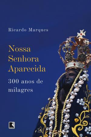 Cover of the book Nossa Senhora Aparecida by Diogo Mainardi