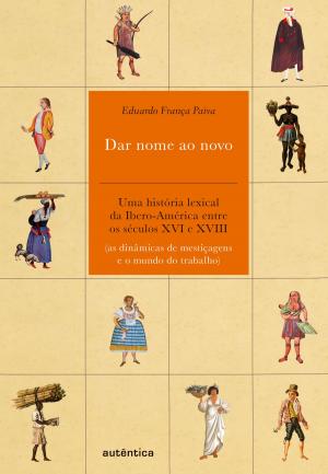 Cover of the book Dar nome ao novo by Marina Marcondes Machado