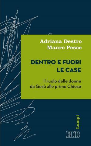 Cover of the book Dentro e fuori le case by Willard Metzger