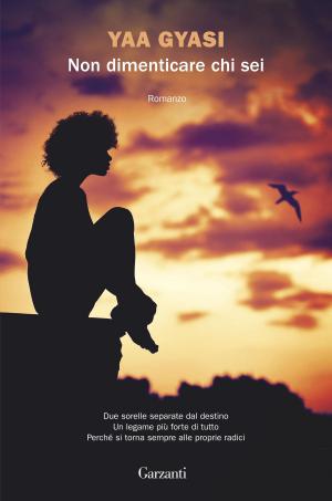 Cover of the book Non dimenticare chi sei by Joanne Harris