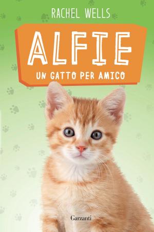 Book cover of Alfie un gatto per amico