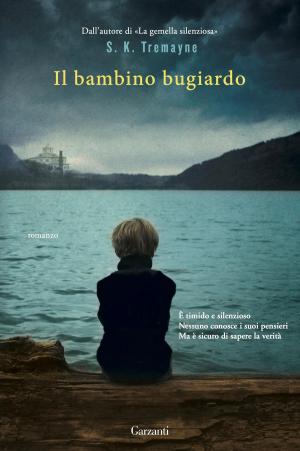 Book cover of Il bambino bugiardo