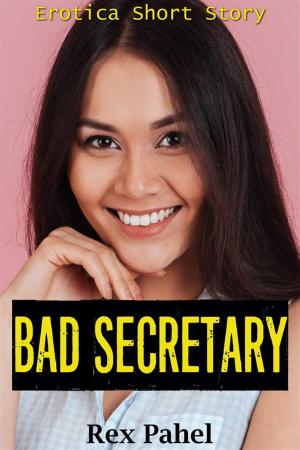Cover of the book Bad Secretary: Erotica Short Story by Danielle Sibarium