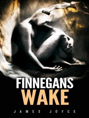 Book cover of Finnegans Wake