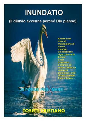 Cover of the book Inundatio by Camminando nella Luce