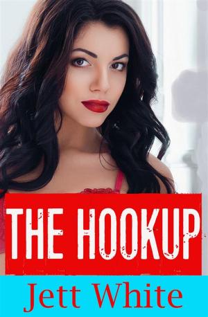 Book cover of The Hookup