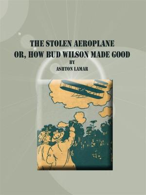 Book cover of The Stolen Aeroplane