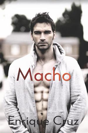 Cover of the book Macho by Summer Devon, Bonnie Dee