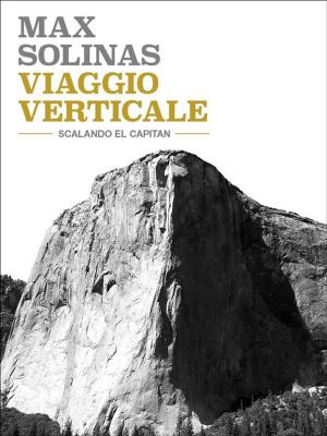 Book cover of Viaggio verticale