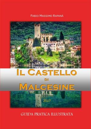 Book cover of Il Castello di Malcesine. Guida pratica illustrata