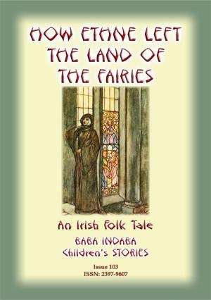 bigCover of the book HOW ETHNE LEFT THE LAND OF THE FAIRIES - An Irish Legend by 
