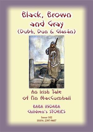 Cover of the book BLACK BROWN AND GRAY (Dubh, Dun and Glasan) - an Irish legend of Fin MacCumhail by Katherine Pyle, Illustrated by Katherine Pyle