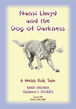 Book cover of NANSI LLWYD AND THE DOG OF DARKNESS - A Welsh Children’s Tale