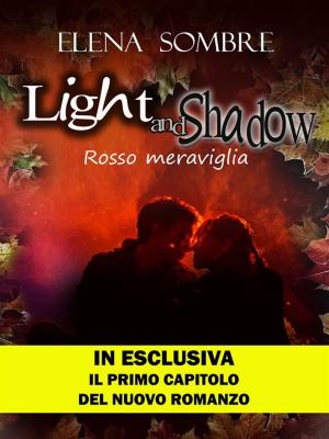 Cover of the book Light and Shadow by CW Johnson