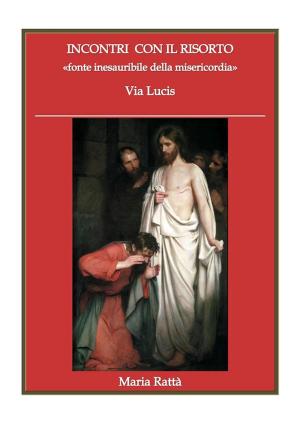 Cover of INCONTRI CON IL RISORTO «fonte inesauribile della misericordia»