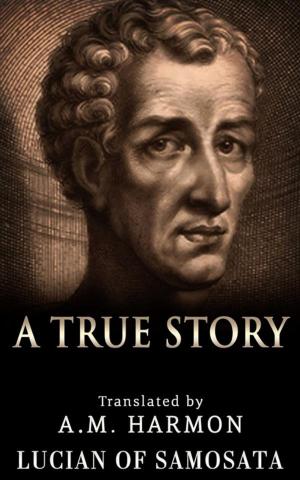 Cover of the book A True Story by Ernesto Bozzano