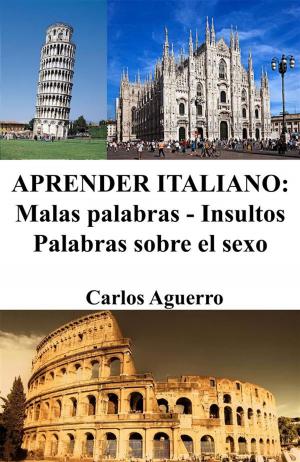 Book cover of Aprender Italiano: Malas palabras - Insultos - Palabras sobre el sexo