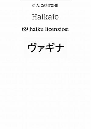 bigCover of the book Haikaio by 