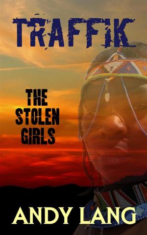 Book cover of Traffik: The Stolen Girls