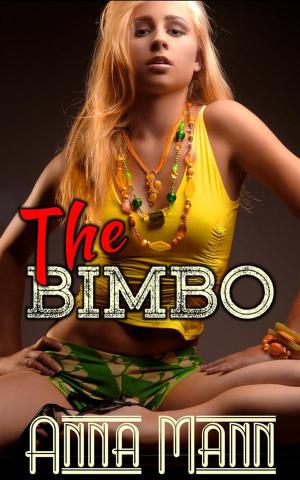 Book cover of The Bimbo