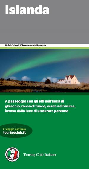 Cover of the book Islanda by Brian David Bruns