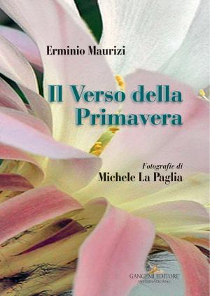 Cover of the book Il verso della primavera by Glauco D'Agostino