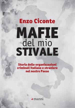 Book cover of Mafie del mio stivale